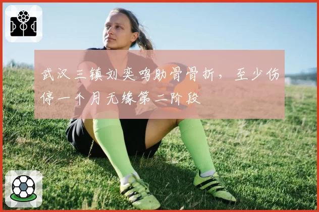 武汉三镇刘奕鸣肋骨骨折，至少伤停一个月无缘第二阶段
