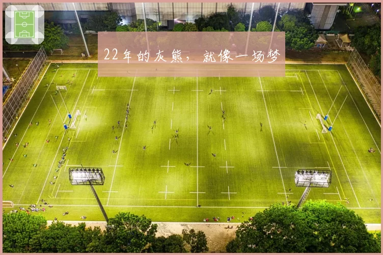 22年的灰熊,就像一场梦